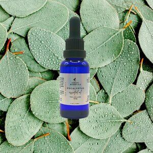 Eucalyptus Essential Oil (Handmade)